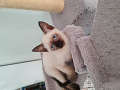 -small-2