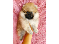 -small-2
