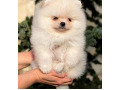 -small-1