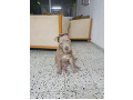 -small-1