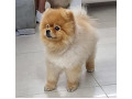 -small-0