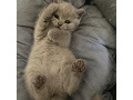 -small-0