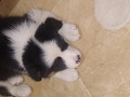 -small-1