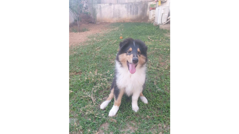 -big-0