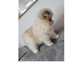 -small-0