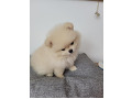 -small-2