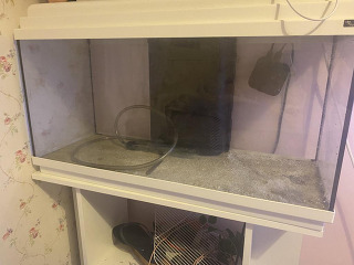 דגים אביזרים בפתח תקווה
