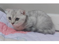 -small-0