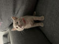 -small-2