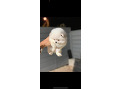 -small-2