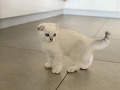 -small-1