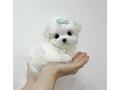 -small-0