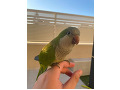-small-1