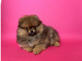-small-2