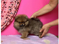-small-1