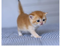 -small-1