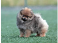 -small-1