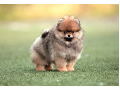-small-2