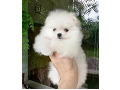 -small-2