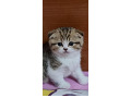 -small-1