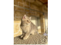 -small-1