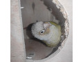 -small-1