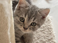 -small-2