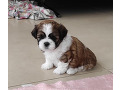 -small-1