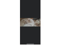 -small-0