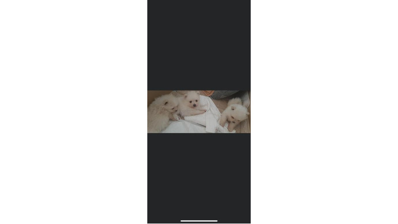 -big-0